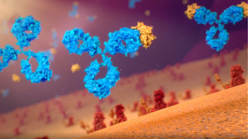 CRYSVITA molecules binding to FGF23, a still from the mechanism of action video