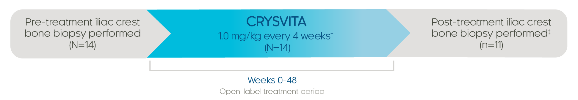 Study 5, Phase 3 open-label, single-arm study in 14 adult patients with XLH. Pre-treatment iliac crest bone biopsy performed in 14 patients. Patients received CRYSVITA 1.0 mg per kg every 4 weeks during weeks 0 to 48. Post-treatment iliac crest bone biopsy performed in 11 patients.