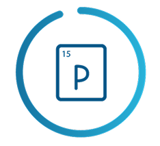 Phosphate element, as shown in the periodic table, with a partial blue circle around it