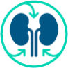 Kidneys reabsorbing phosphorus