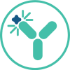 CRYSVITA monoclonal antibody binding to FGF23