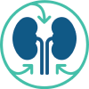 Kidneys reabsorbing phosphorus