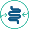 Small intestine reabsorbing phosphorus