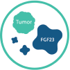 Tumor expressing increased production of FGF23